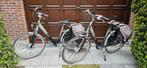 2 Prachtige Elektrische Giant Twist Go Double Power Fietsen, Fietsen en Brommers, Elektrische fietsen, Ophalen, Zo goed als nieuw