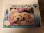 Puzzel 300 stuks, Ophalen, Meer dan 50 stukjes, Zo goed als nieuw, 6 jaar of ouder