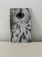 Sneeuwuil - Wall Art, Huis en Inrichting, Ophalen, Nieuw