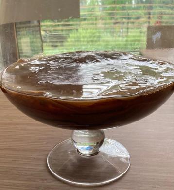 Kombucha skoby beschikbaar voor biedingen