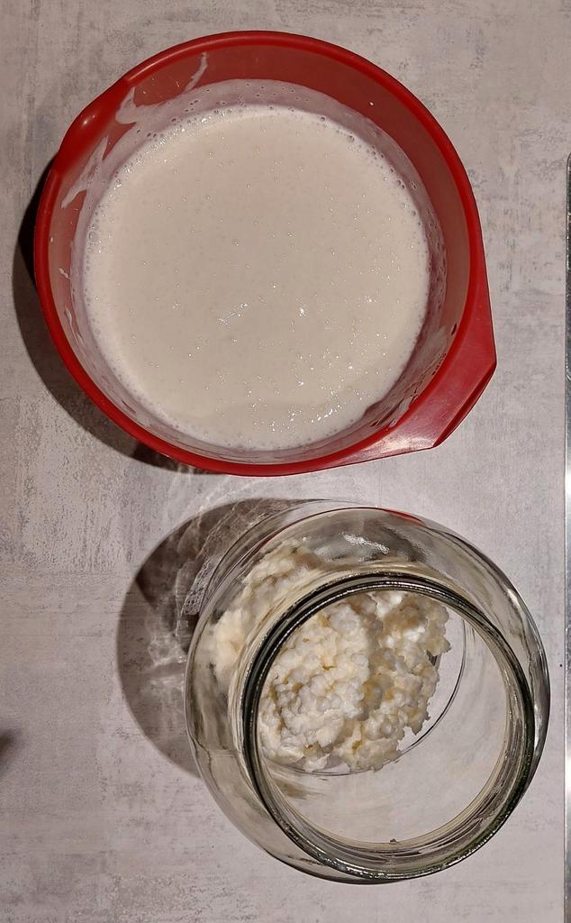 Tijdelijk uitverkocht levende melk kefir 100 gram, Diversen, Levensmiddelen, Ophalen of Verzenden