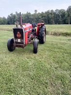 Gezocht massey Ferguson tractoren, Ophalen, Massey Ferguson