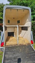 Paardenremorque, Dieren en Toebehoren, Ophalen, Gebruikt, Polyester, 2-paards trailer
