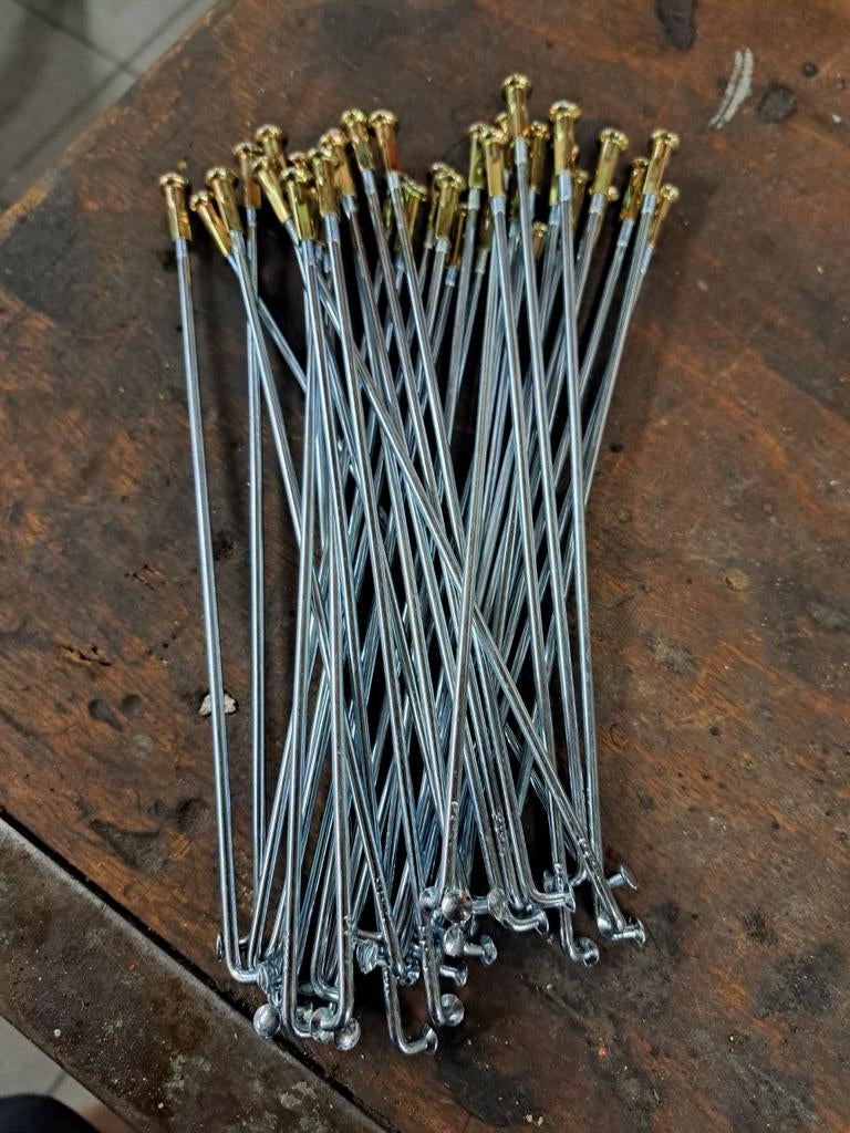 Rayon moto, Ophalen of Verzenden, Nieuw