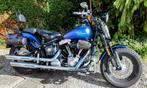 HARLEY-DAVIDSON KRUISBEENDEREN UIT 2010, Motoren, Motoren | Harley-Davidson, Particulier