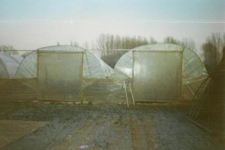 Tunnelserre, Tuin en Terras, Bergingen en Tuinkasten, Gebruikt, Overige typen, Metaal, Ophalen