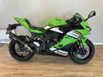 kawasaki zx4 rr performance, Motos, Motos | Kawasaki, Entreprise, Plus de 35 kW, Sport, 400 cm³
