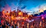 Tomorrowland w1 ticket magnificent greens, Tickets en Kaartjes, Evenementen en Festivals