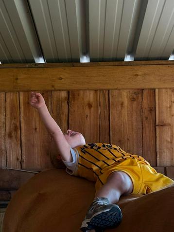 Gezocht: pony beschikbaar voor biedingen