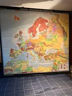 Grote landkaart Europe geologie 205/195cm, Antiek en Kunst, Ophalen of Verzenden, Aardrijkskunde