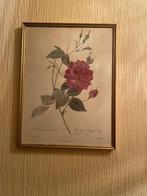 Oude kader, Antiek en Kunst, Ophalen