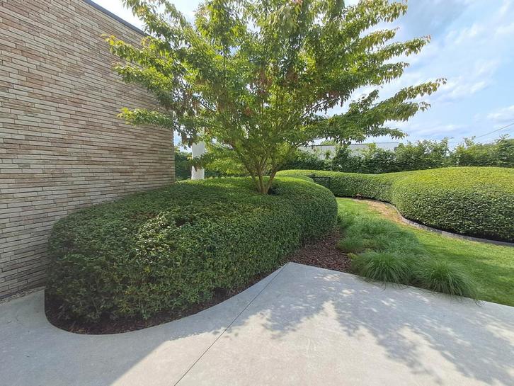 Tuinonderhoud, Jardin & Terrasse, Jardin & Terrasse Autre, Neuf, Enlèvement ou Envoi