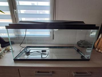 Aquarium complet à démarrer  doit partir vite ....  beschikbaar voor biedingen