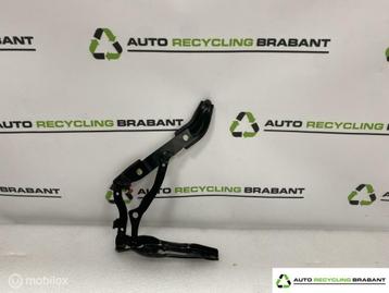 Achterklepscharnier Links BMW 3 Serie E92 Coupe 706062709