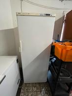 Bosch diepvries no frost, Elektronische apparatuur, Gebruikt, 160 cm of meer, Ophalen, Vrieskast