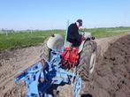 Hert ploeg, Zakelijke goederen, Landbouw | Werktuigen, Ophalen