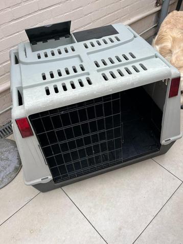 autobench voor grote honden beschikbaar voor biedingen