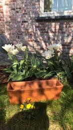 Plantenbakken, Tuin en Terras, Ophalen
