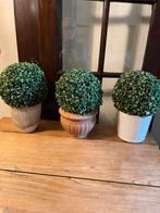 Bloempotjes met kunstbuxus 3 stuks, Tuin en Terras, Bloempotten, Ophalen, Zo goed als nieuw