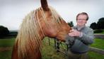 paard met man, Dieren en Toebehoren, Overige typen, Zo goed als nieuw, Ophalen