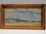 jef de pauw schilderij op hout, Antiek en Kunst, Ophalen of Verzenden