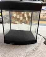 Aquarium, Dieren en Toebehoren, Ophalen, Gebruikt