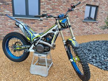 Trial sherco 300 factory  disponible aux enchères