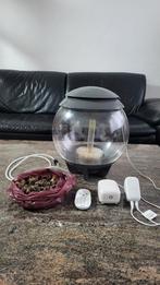 Aquarium, Dieren en Toebehoren, Ophalen of Verzenden