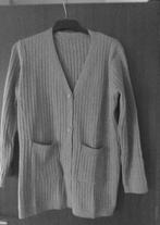 Trui dames XXL, Ophalen of Verzenden, Zo goed als nieuw, Maat 46/48 (XL) of groter, Grijs