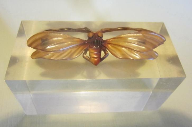 Antieke art nouveau broche in hoorn: libel, ca 1900, Handtassen en Accessoires, Antieke sieraden, Broche, Overige materialen, Verzenden