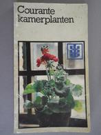 Courante kamerplanten, Boeken, Ophalen of Verzenden, Gelezen, Kamerplanten
