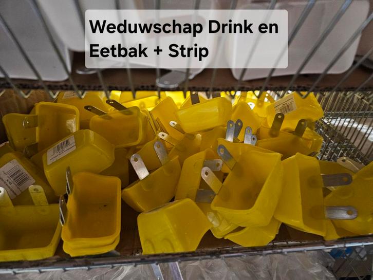 Bols à nourriture et à boissons (14 espèces) - Pigeons et oi, Animaux & Accessoires, Oiseaux | Accessoires, Enlèvement