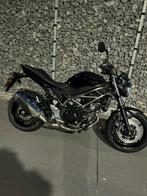 Suzuki SV650. Bwj2025. 35 kw, Motoren, Motoren | Suzuki, 2 cilinders, Particulier, Minimaal motorrijbewijs A2, 12 t/m 35 kW