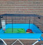 Knaagdierkooi., Dieren en Toebehoren, Ophalen