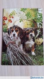 Puzzel puppies, Kinderen en Baby's, Speelgoed | Kinderpuzzels, 4 tot 6 jaar, Gebruikt, Meer dan 50 stukjes, Ophalen of Verzenden