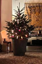 Man medisch beroep zoekt …..