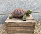 Beeld schildpad naturel L 40cm, Ophalen of Verzenden, Nieuw, Dier