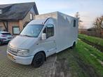 Topkwaliteit Renault Master paardenwagen camionetje, Auto's, Bestelwagens en Lichte vracht, Renault, Particulier, Te koop, Handgeschakeld