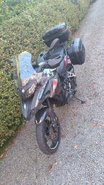 Benelli TRK 502X, Motoren, 2 cilinders, Bedrijf, Minimaal motorrijbewijs A2, Naked bike