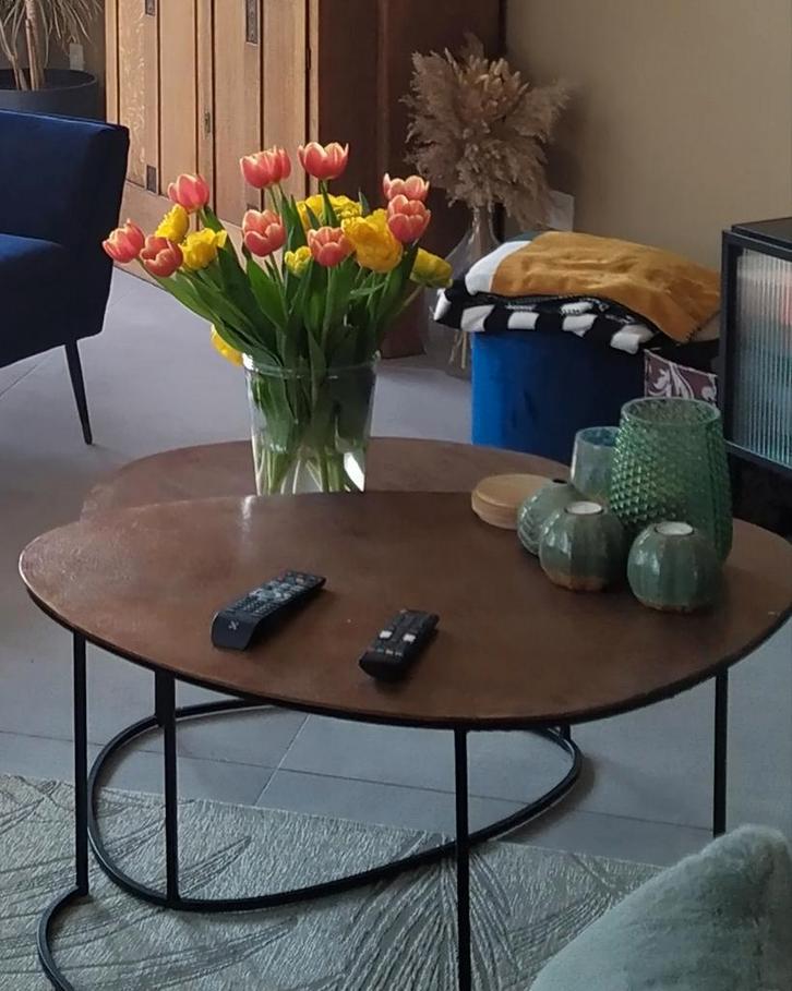 Saloltafel - set van 2 stuks, Huis en Inrichting, Tafels | Salontafels, Metaal, Ophalen