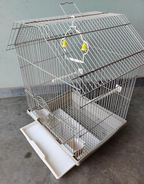 Cage pour perroquets Ruby, Animaux & Accessoires, Oiseaux | Cages & Volières, Neuf, Cage à oiseaux, Métal, Enlèvement ou Envoi