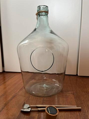 Plant Terrarium Large voor DIY beschikbaar voor biedingen