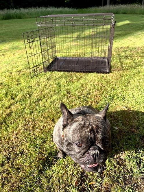 Brekz Bench zwart - Formaat Large - Voor hond, Dieren en Toebehoren, Hondenbenches, Zo goed als nieuw, Ophalen