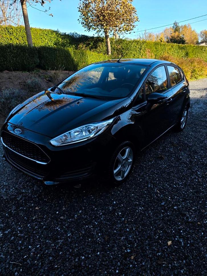 Ford fiesta, Auto's, Ford, Particulier