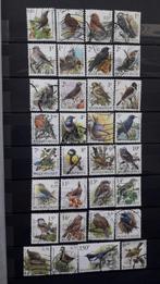 Lot de 32 timbres-poste Belgique thématique Oiseaux Buzin, Timbres & Monnaies, Animal et Nature, Affranchi, Enlèvement ou Envoi