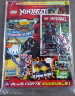 Album + minifiguur LEGO: Vermillion - njo308 - 2017 - Limit, Kinderen en Baby's, Ophalen of Verzenden, Lego
