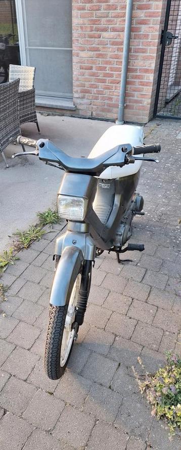 Honda wallaroo  beschikbaar voor biedingen