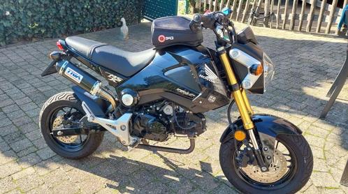 Honda MSX 125, Motoren, Motoren | Honda, Particulier, Naked bike, 11 kW of minder, 1 cilinder, Ophalen