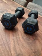 Decathlon dumbell 2x 2,5kg, Sport en Fitness, Ophalen of Verzenden, Zo goed als nieuw, Dumbbell