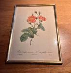 Vintage kader met bloemen, Antiek en Kunst, Ophalen of Verzenden